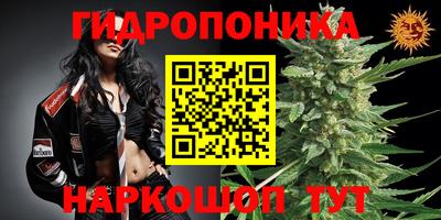 ПСИЛОЦИБИНОВЫЕ ГРИБЫ Гагарин