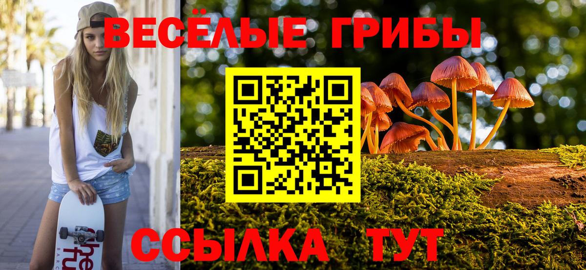 где купить наркотик  Вход с VPN  Белово  Галлюциногенные грибы прущие грибы 