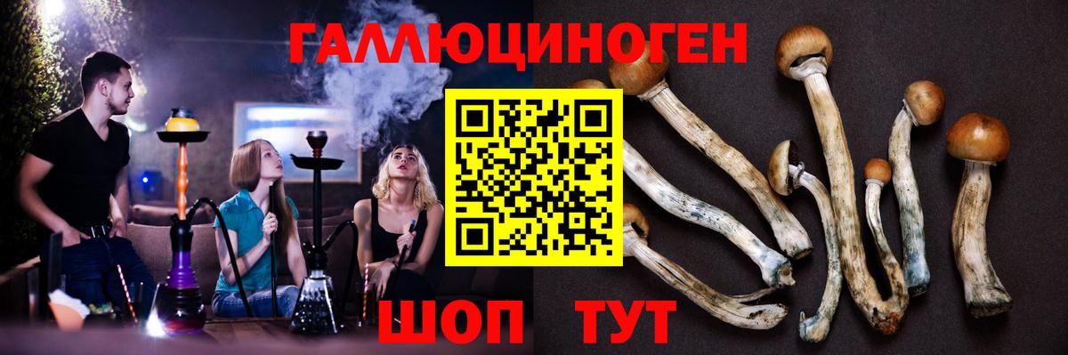 Псилоцибиновые грибы Psilocybe Белово